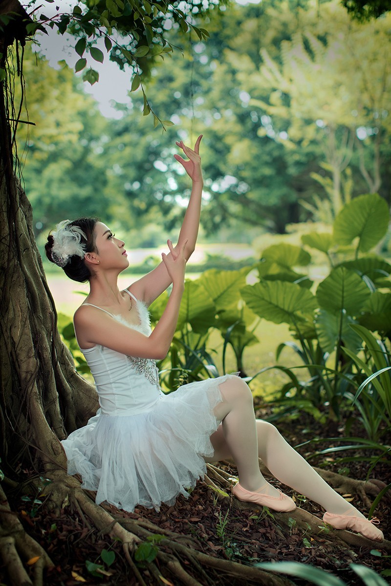 林中芭蕾