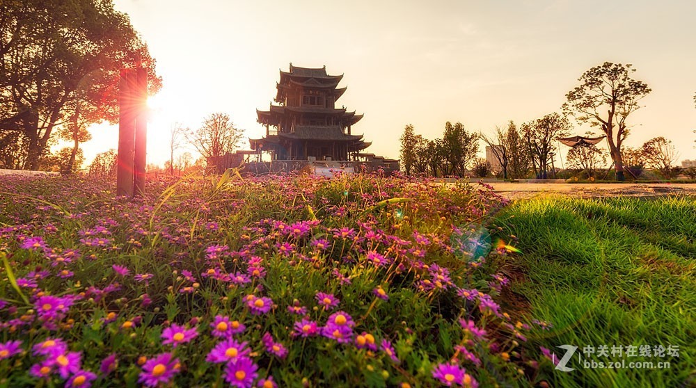 衡阳市东州岛随拍