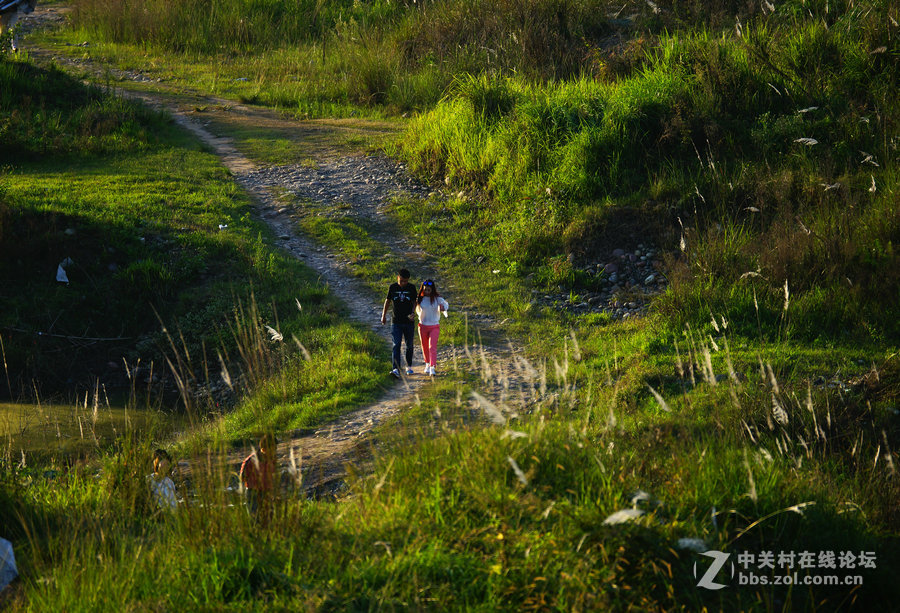 菜坝小品三五张