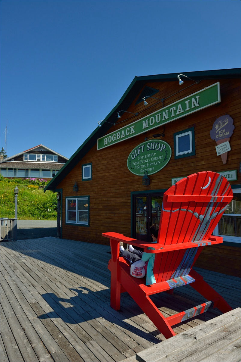 休闲随拍（286）