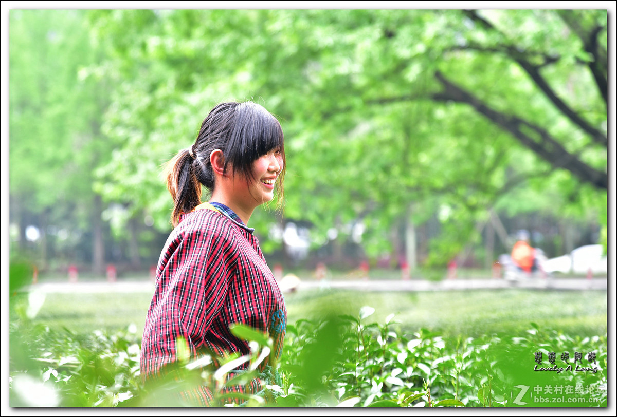 梅家坞——采茶姑娘