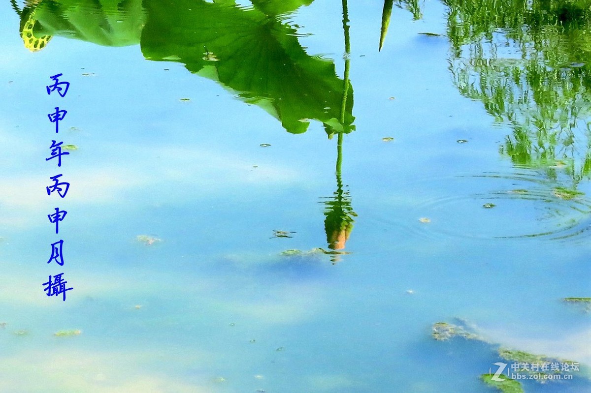 靓丽倩影倒映水中