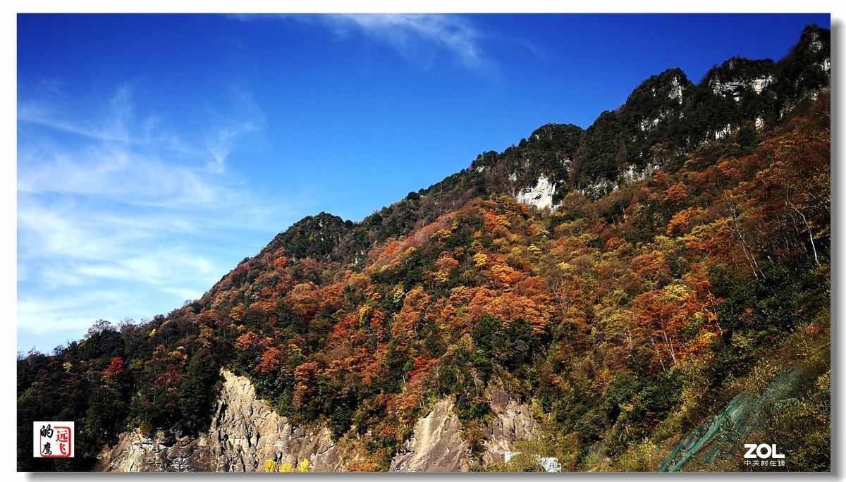 鹰眼视觉一一神农架的秋色