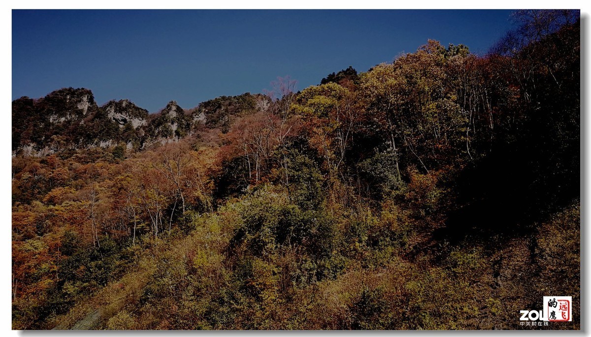 鹰眼视觉一一神农架的秋色