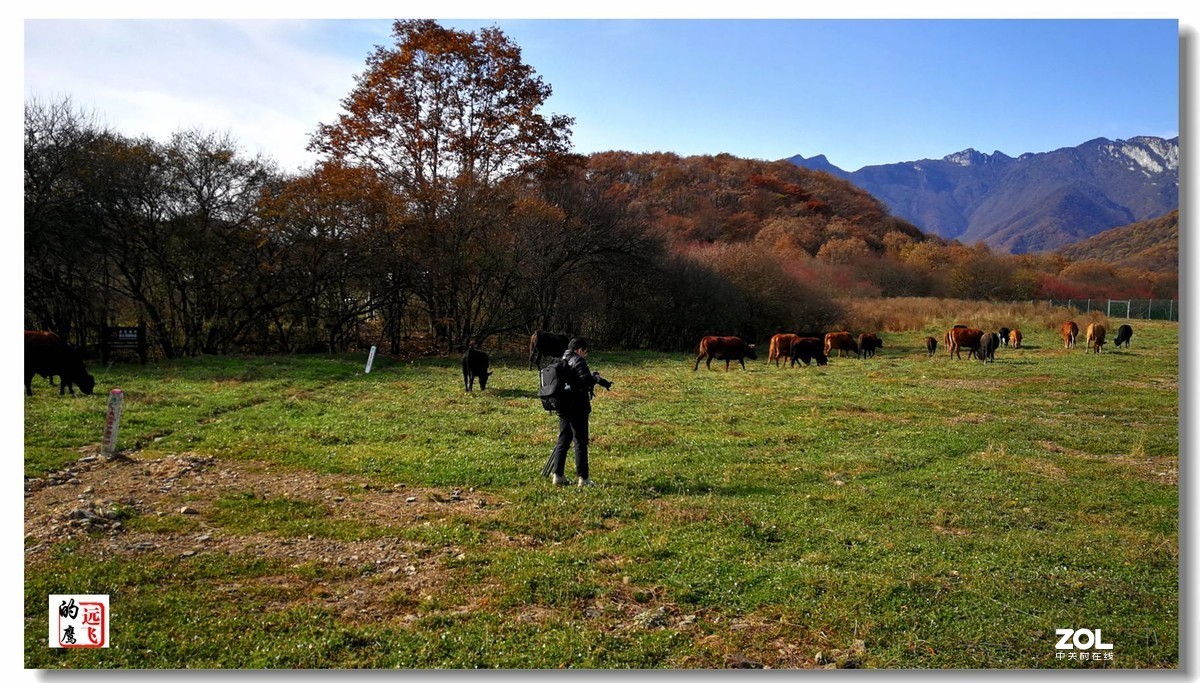鹰眼视觉一一神农架的秋色