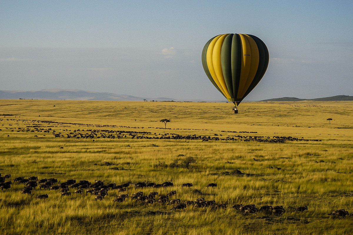 肯尼亚马赛马拉草原掠影---交作业