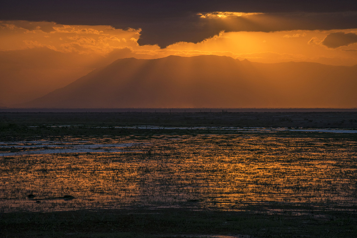 肯尼亚马赛马拉草原掠影---交作业