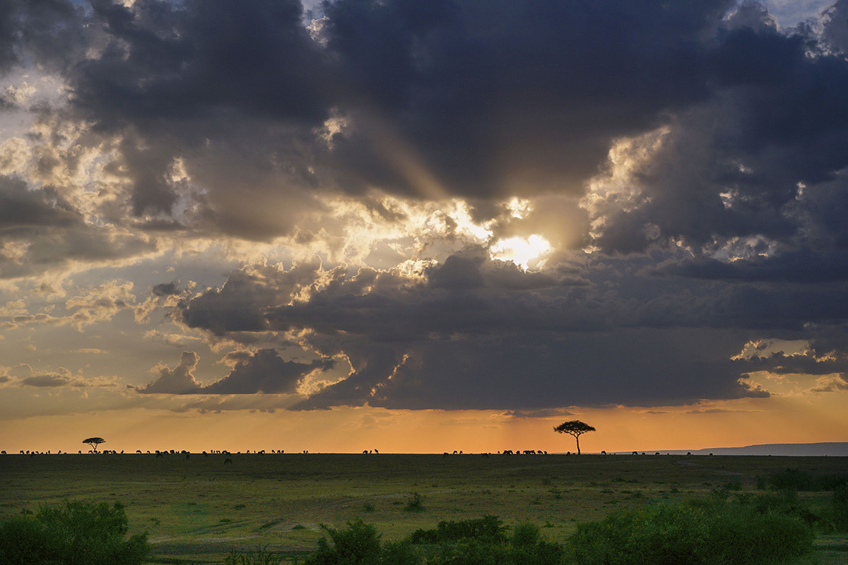 肯尼亚马赛马拉草原掠影---交作业