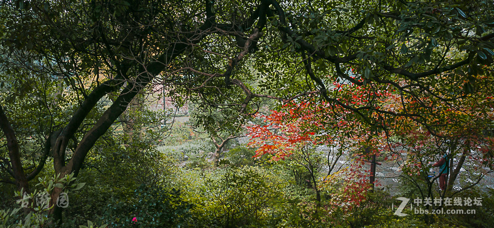 烟花易冷古漪园