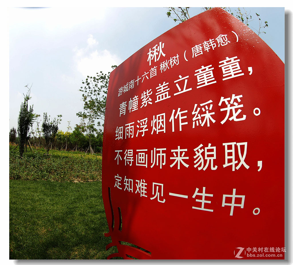 鱼眼读古诗
