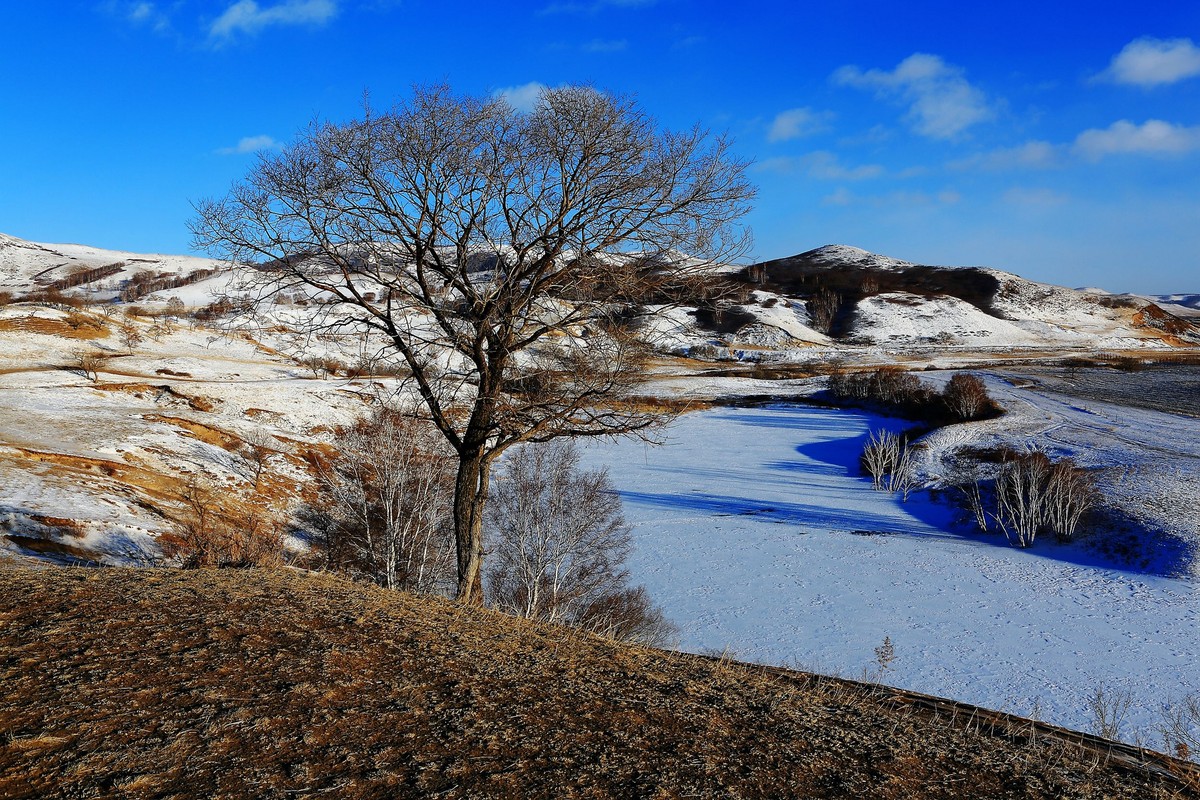 *  * 坝  上  雪  色 *  *