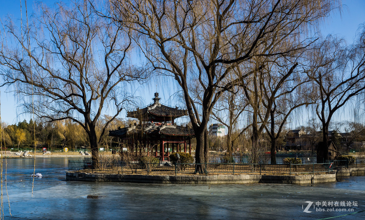 陶然亭冬韵