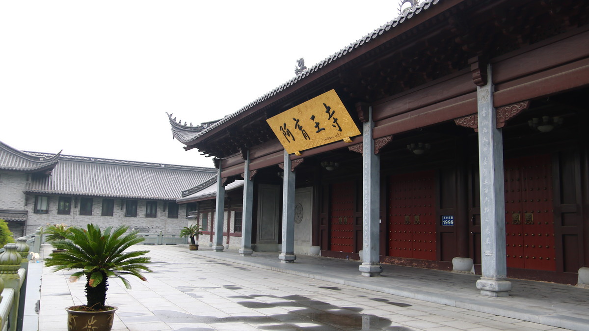 佛法无边，地涌金莲