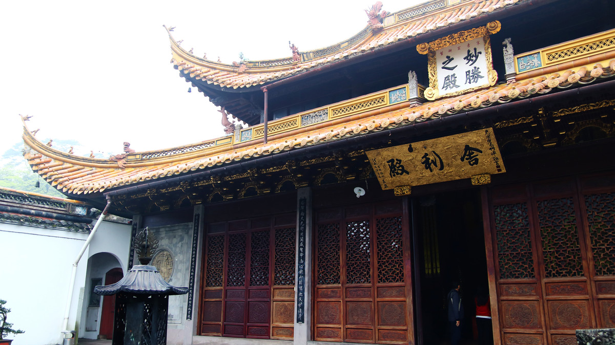 佛法无边，地涌金莲