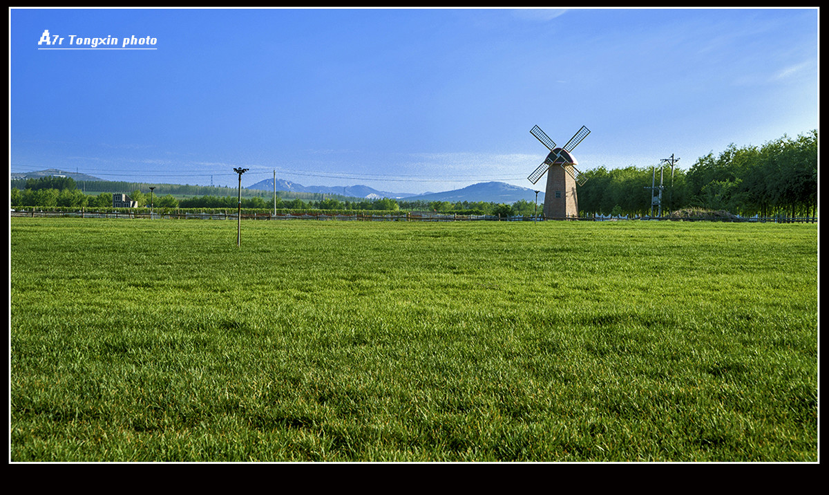 黄家沟度假村的清晨（4）