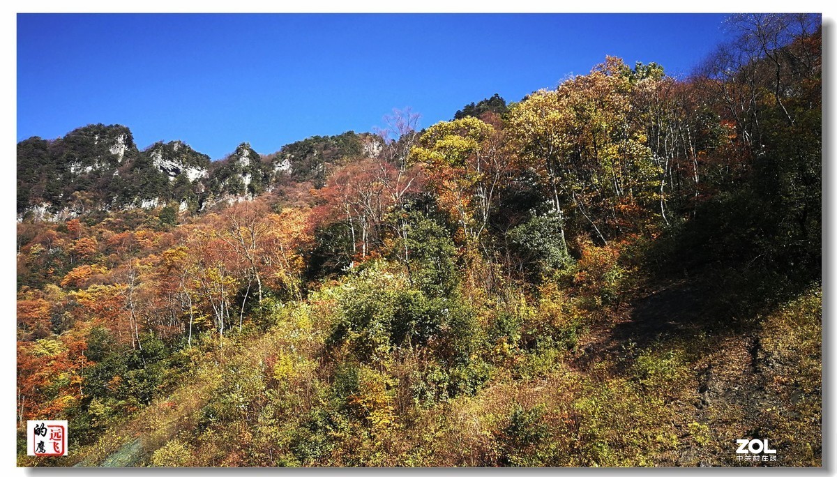 鹰眼视觉一一神农架的秋色