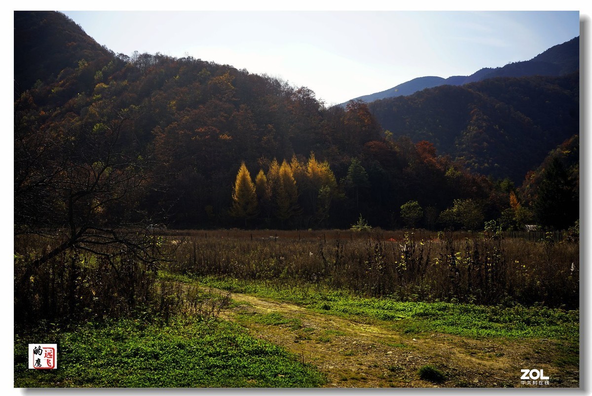 鹰眼视觉一一神农架的秋色