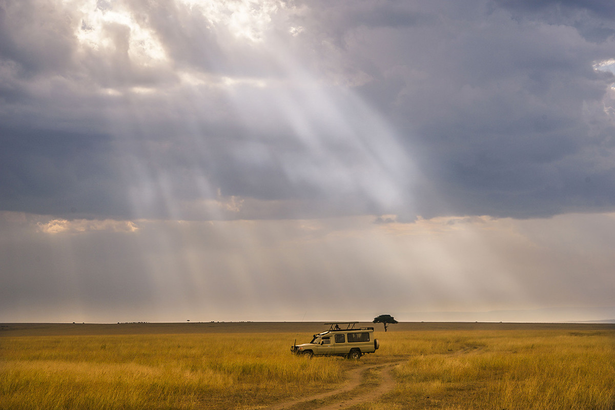 肯尼亚马赛马拉草原掠影---交作业