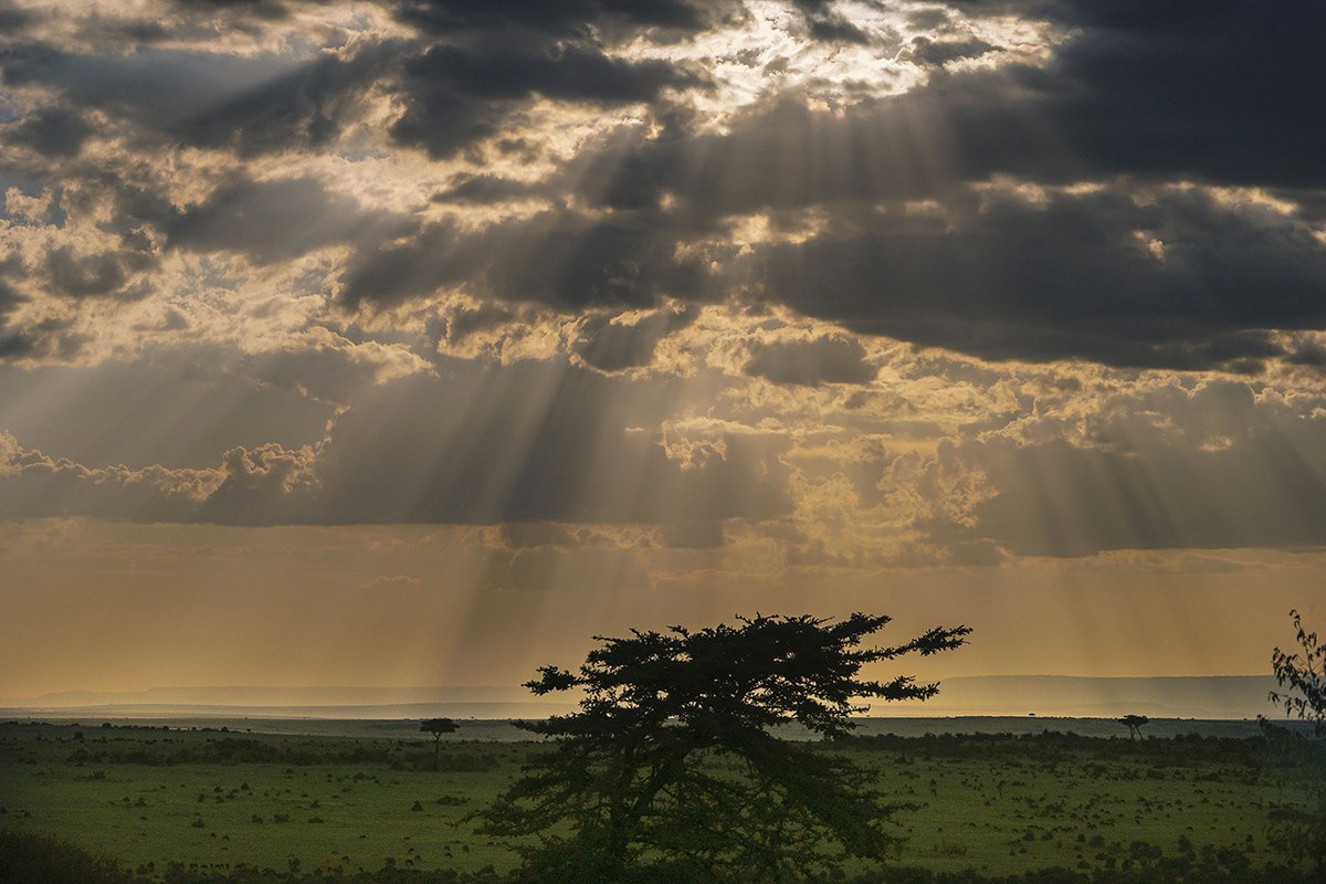 肯尼亚马赛马拉草原掠影---交作业