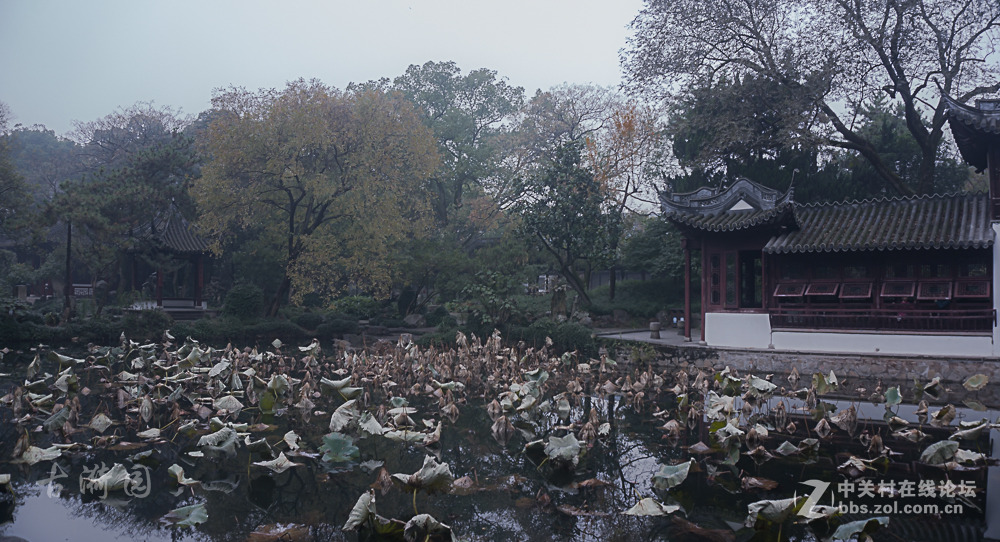 烟花易冷古漪园