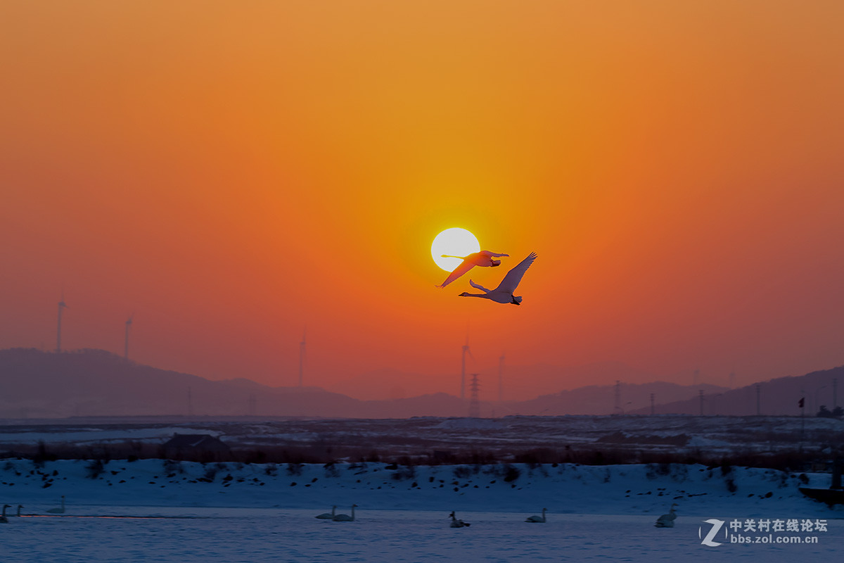 在温暖的太阳里