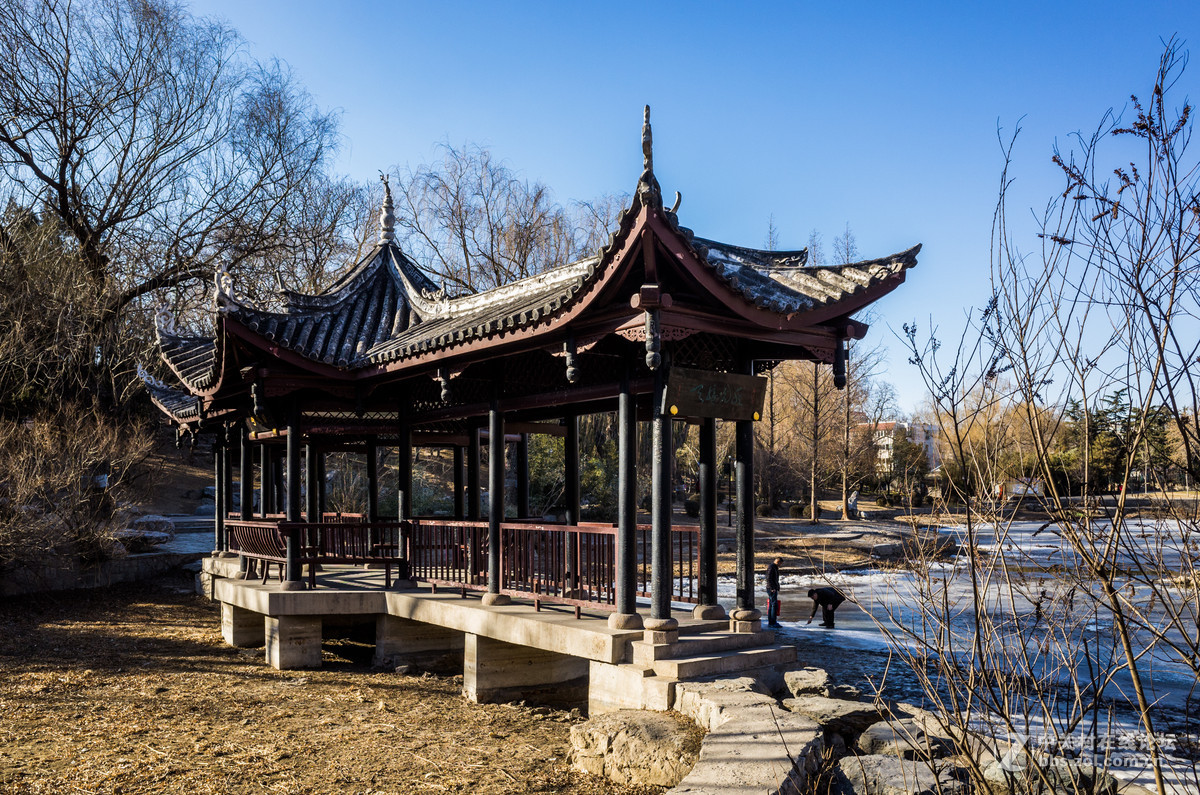 陶然亭冬韵