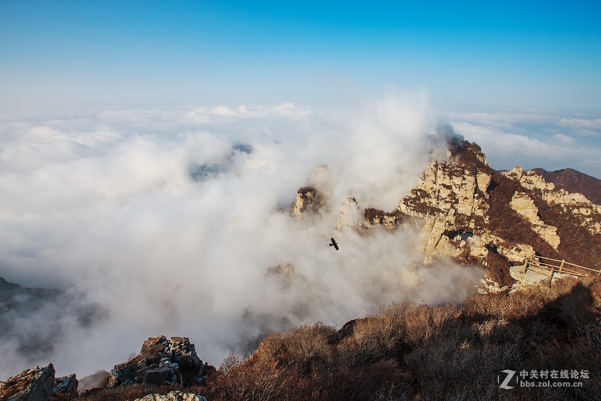 白石山云海佛光醉迷聊城老乡