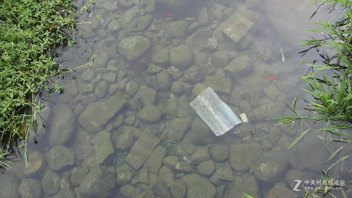 11年夏8月南召莲花温泉