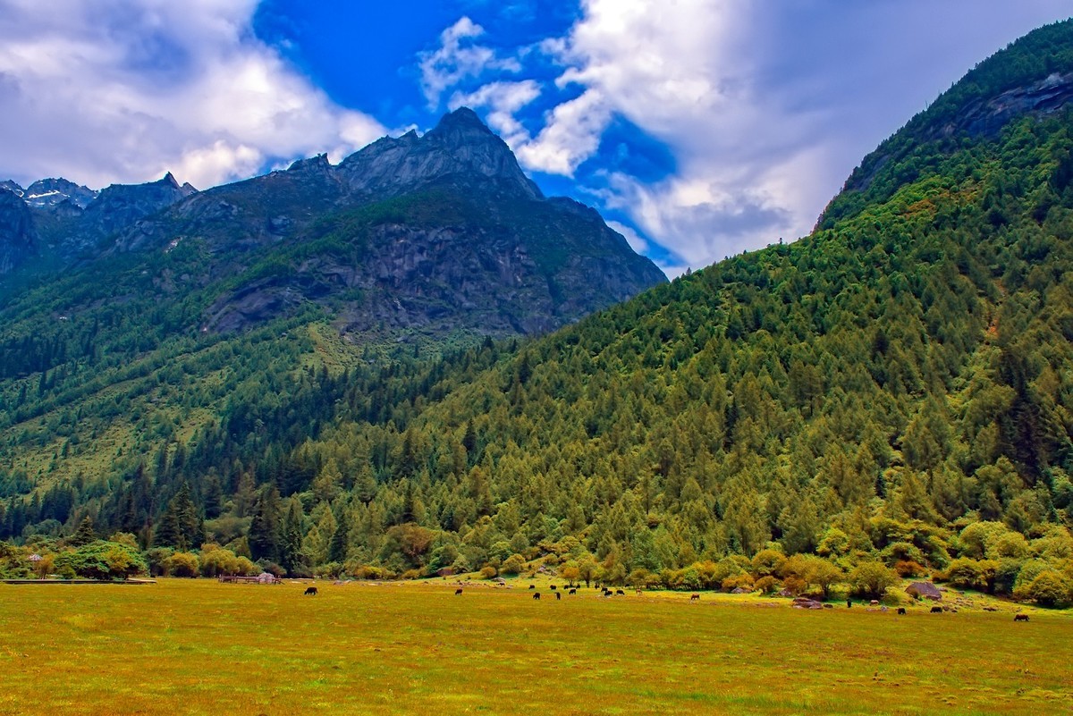 川西風光四姑娘山之雙橋溝景9