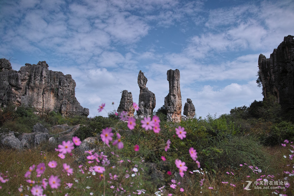 2015国庆小石林花海