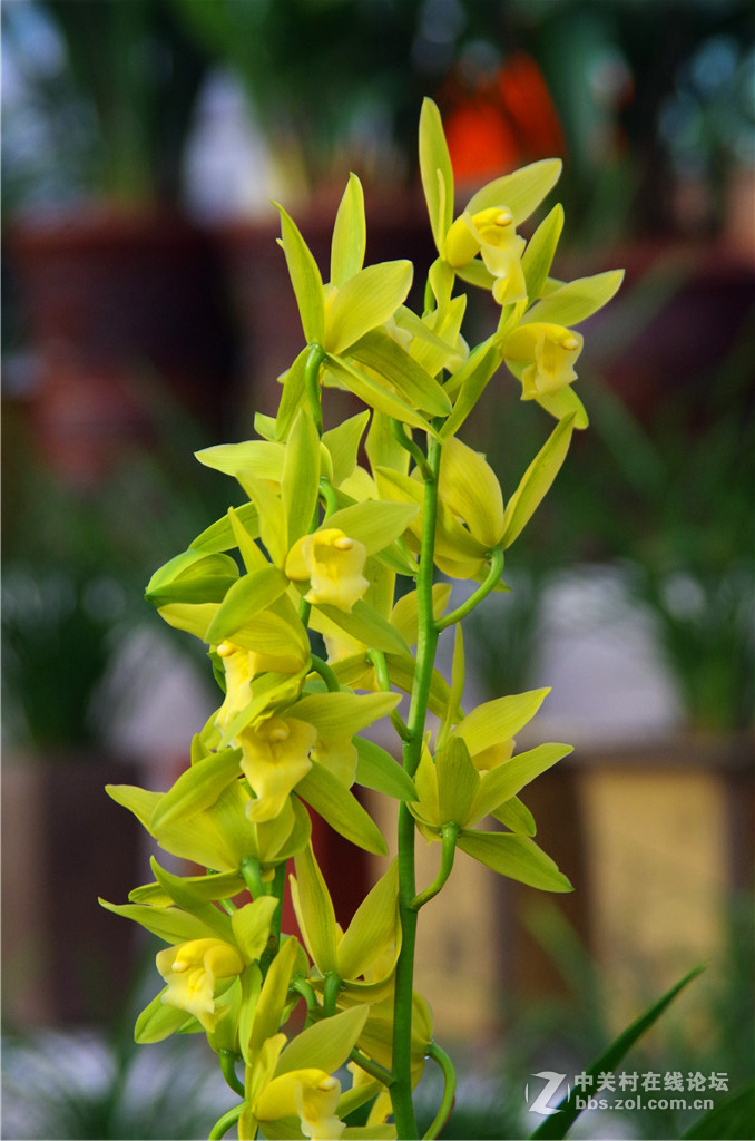 K50+威达28-210，继续拍花