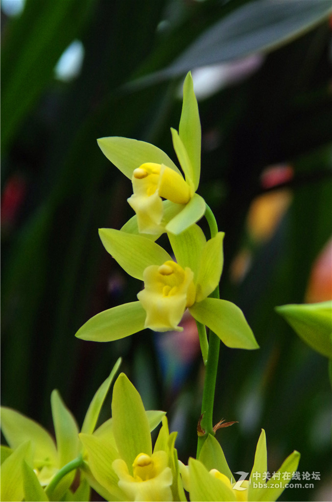 K50+威达28-210，继续拍花