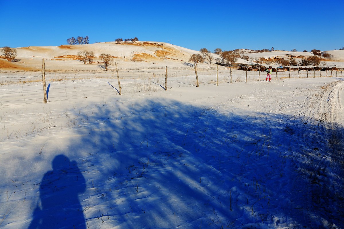 *  * 坝  上  雪  色 *  *
