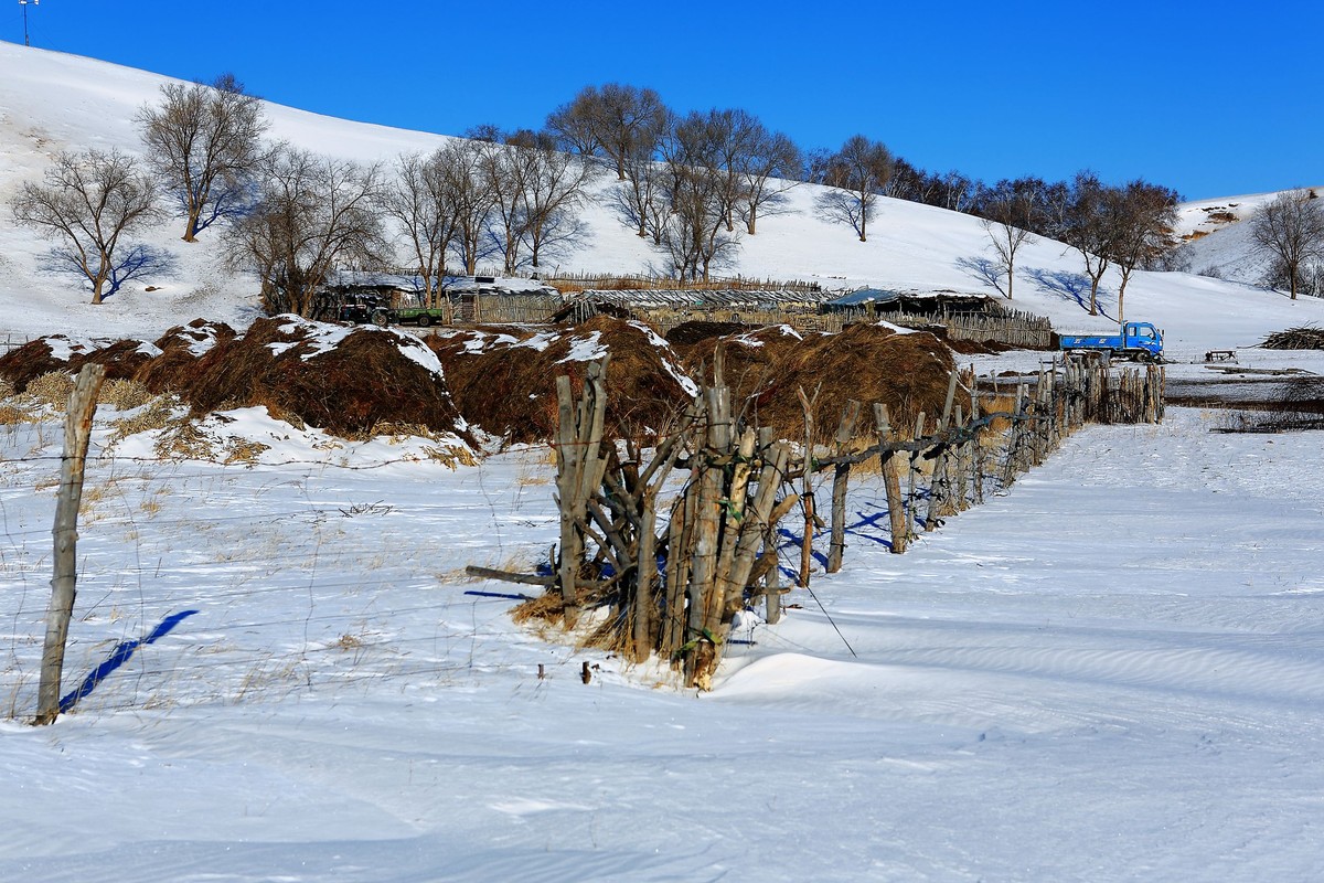 *  * 坝  上  雪  色 *  *