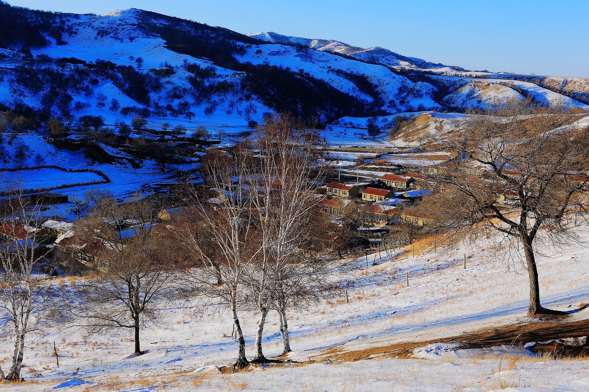 *  * 坝  上  雪  色 *  *