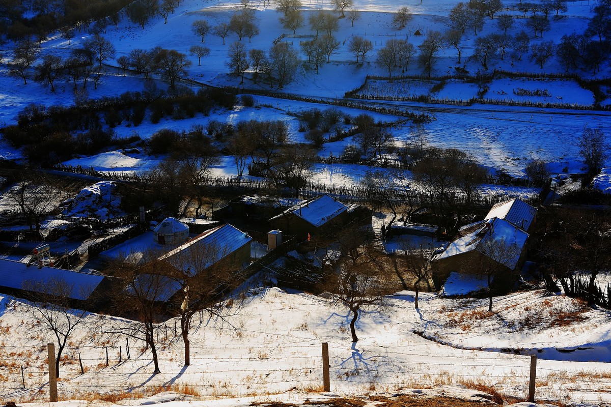 *  * 坝  上  雪  色 *  *