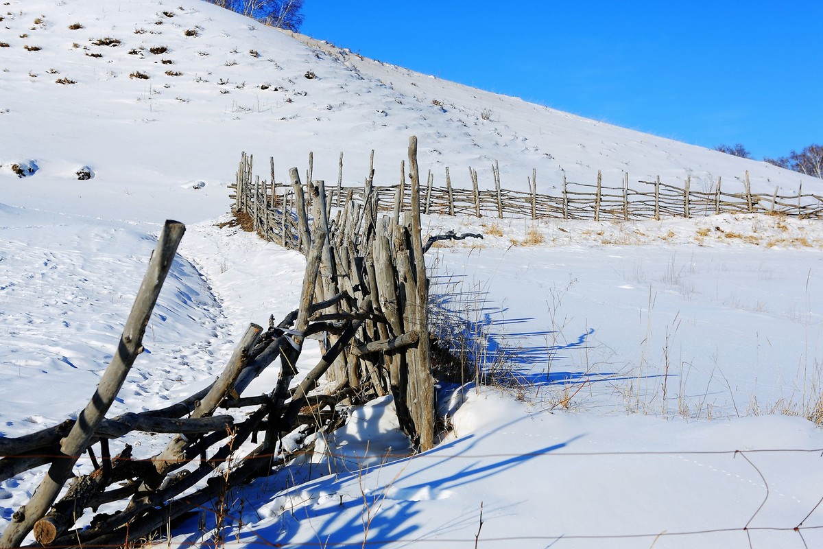 *  * 坝  上  雪  色 *  *