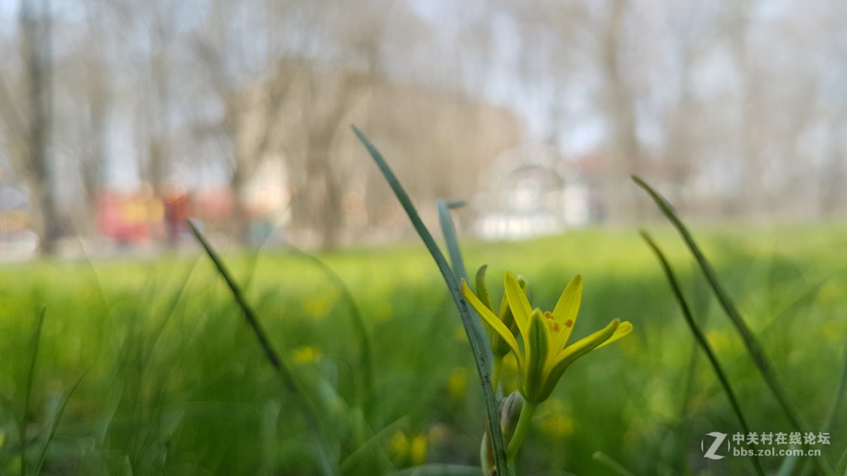 星空体育平台S7几张微距（原图直出）