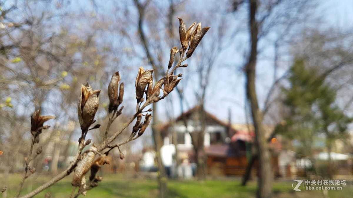 星空体育平台S7几张微距（原图直出）