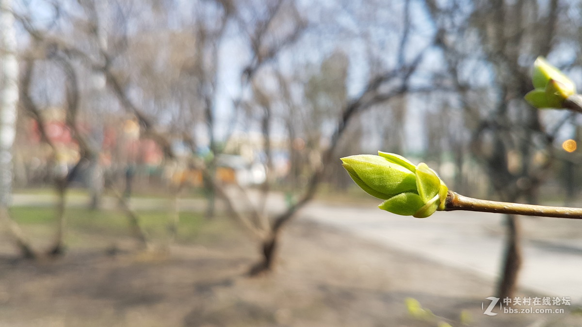 星空体育平台S7几张微距（原图直出）