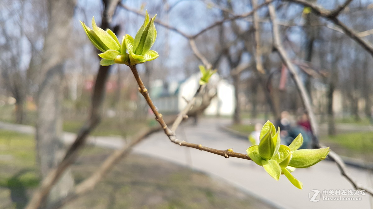 星空体育平台S7几张微距（原图直出）