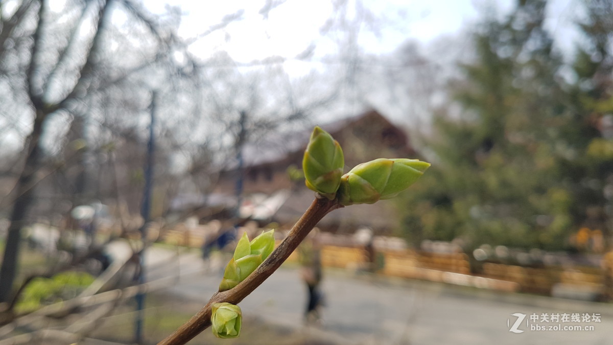 星空体育平台S7几张微距（原图直出）
