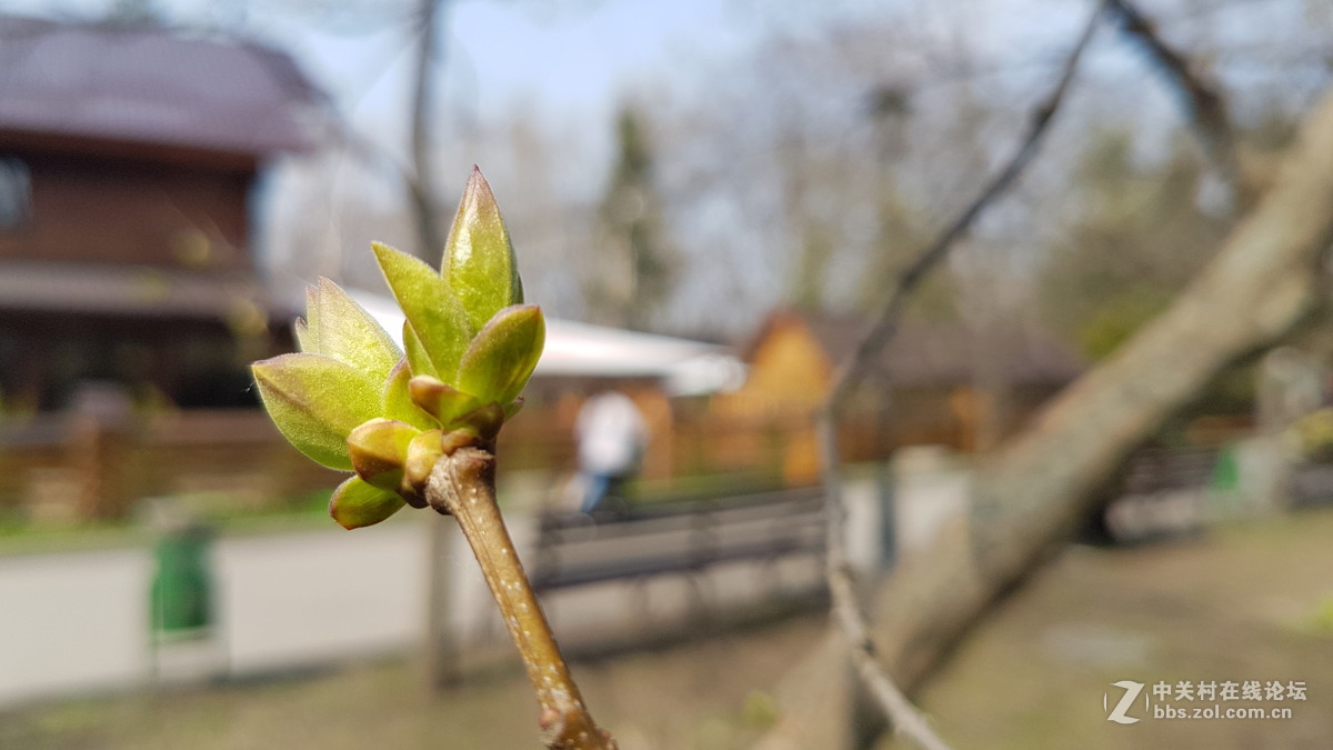 星空体育平台S7几张微距（原图直出）