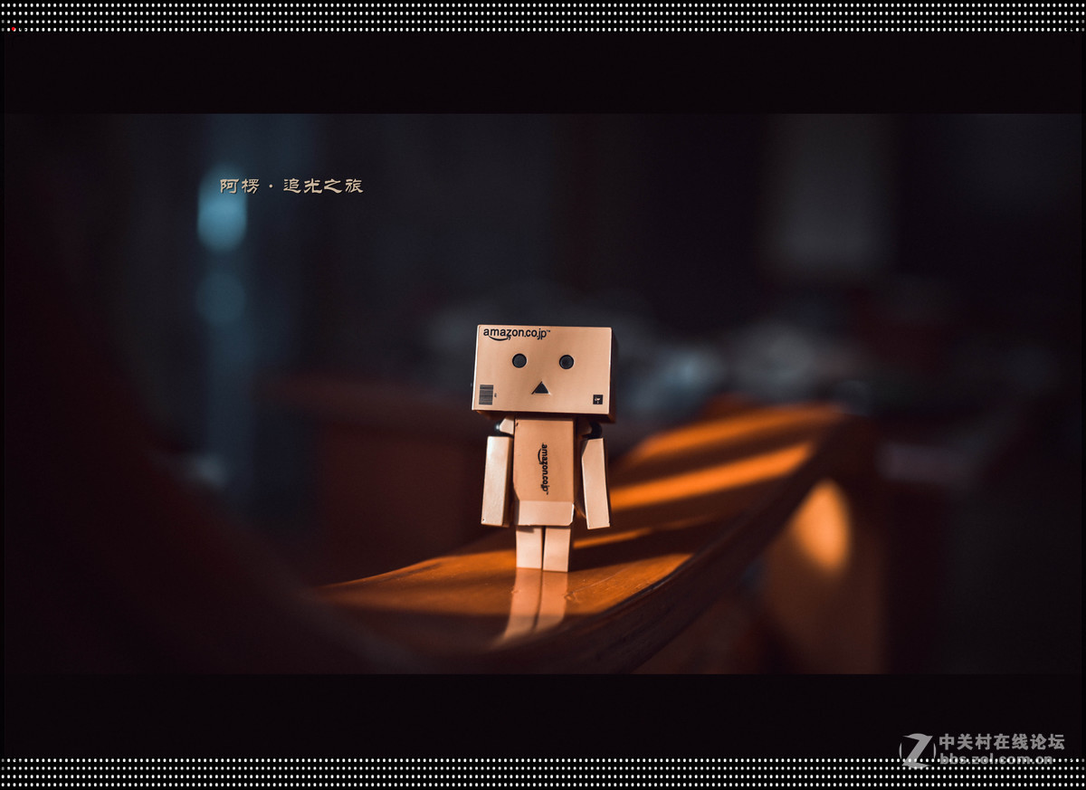 阿楞——新手试拍