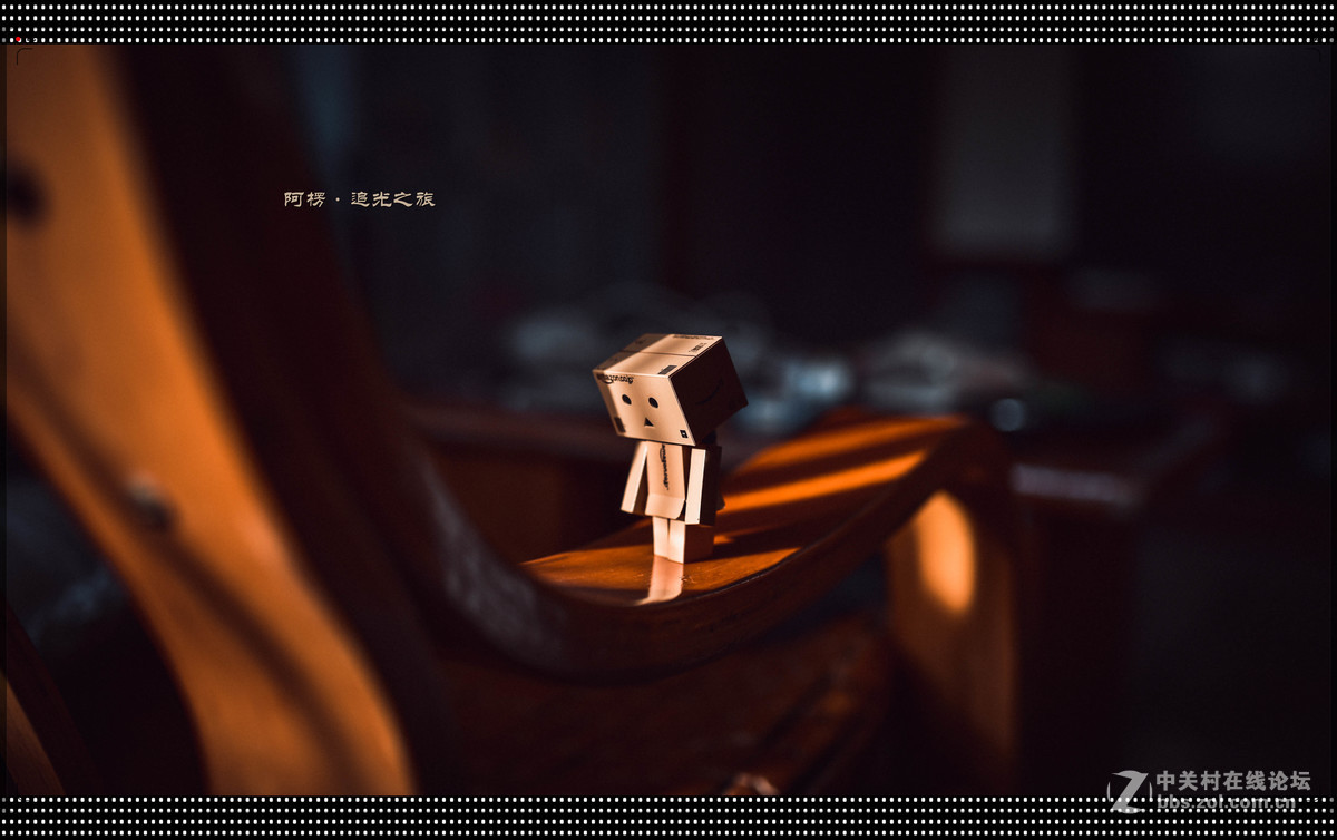 阿楞——新手试拍