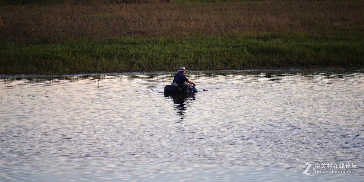 傍晚随拍【鱼趣】