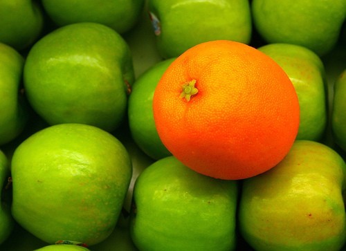 摄影入门必备 小白入门的摄影构图技巧