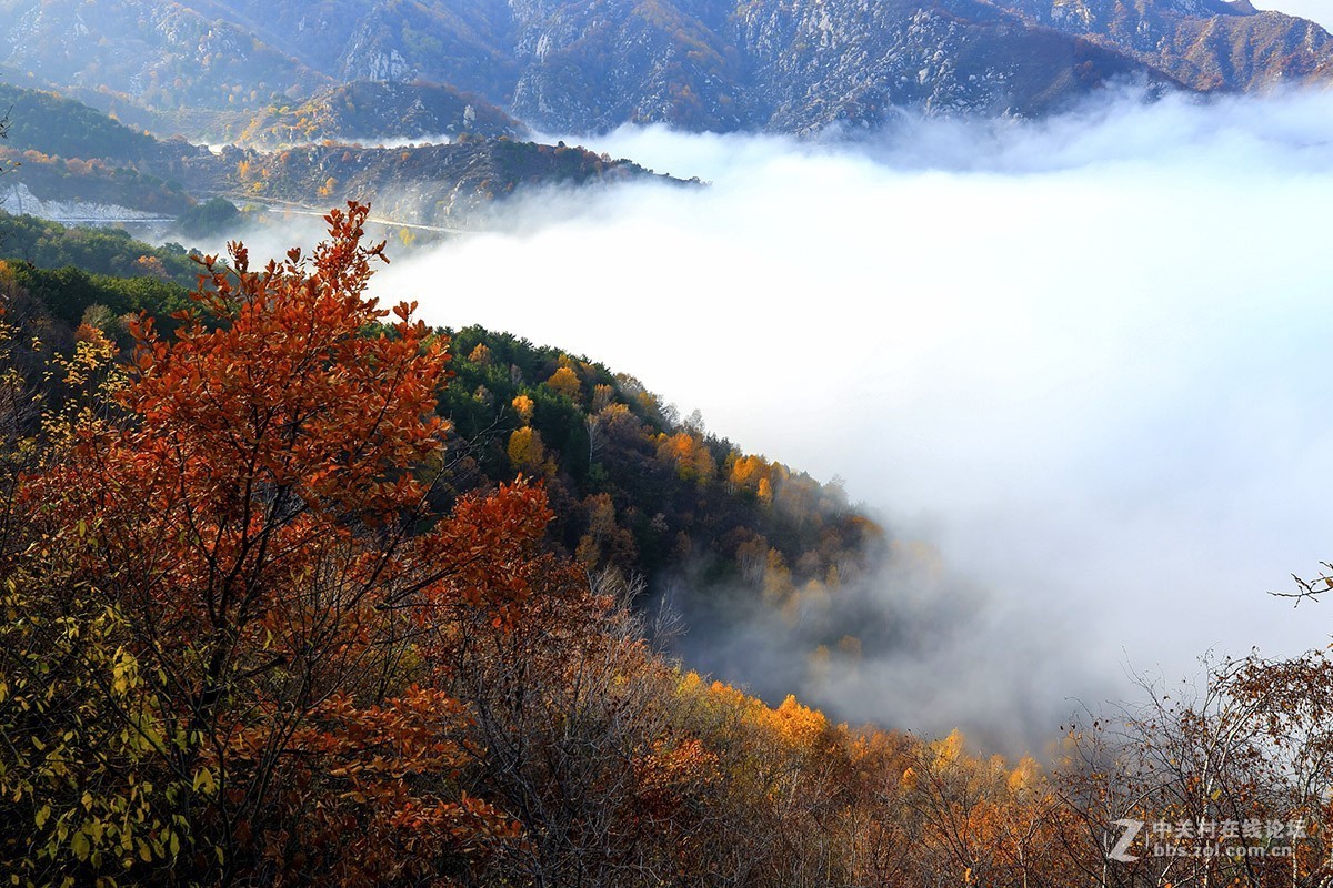 #佳能月赛-金秋十月#金秋白石山 云海佛光伴