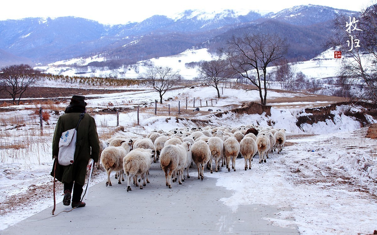 坝上行摄之------蛤蟆坝之冬
