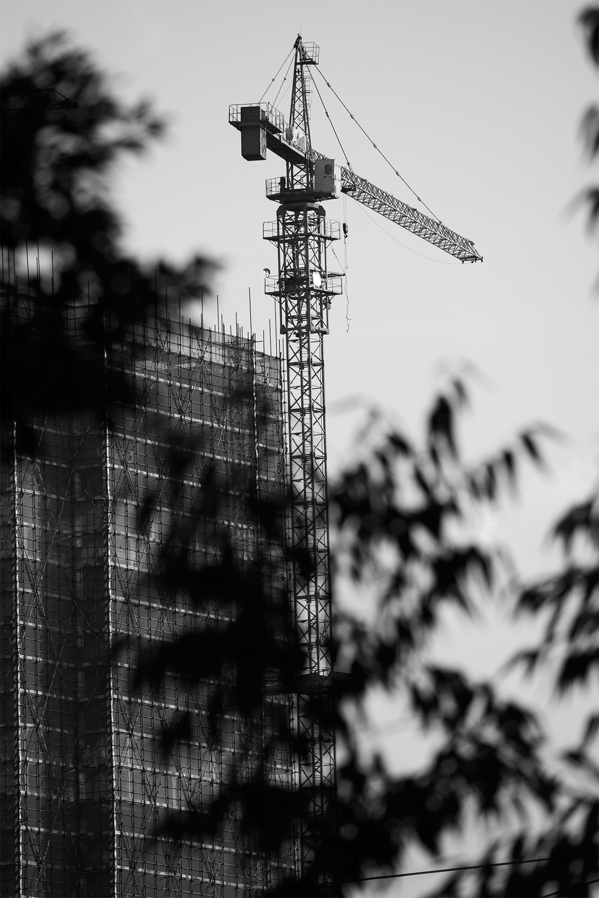 适马100-400mm试镜